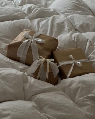 Nečekejte na poslední chvíli ✨🎀 … balíčky odeslané tento týden přijdou do Vánoc, poté už dodání zaručí jen osobní předání...